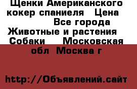 Щенки Американского кокер спаниеля › Цена ­ 15 000 - Все города Животные и растения » Собаки   . Московская обл.,Москва г.